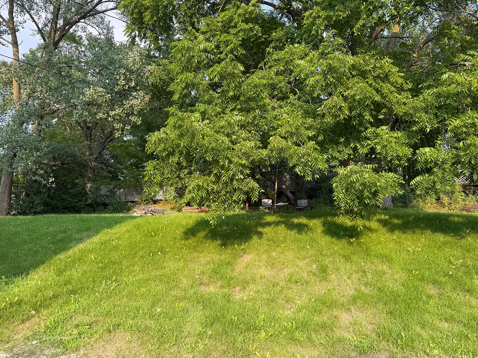 3 bed, 1200 sqft, $1,850 — Photo 2