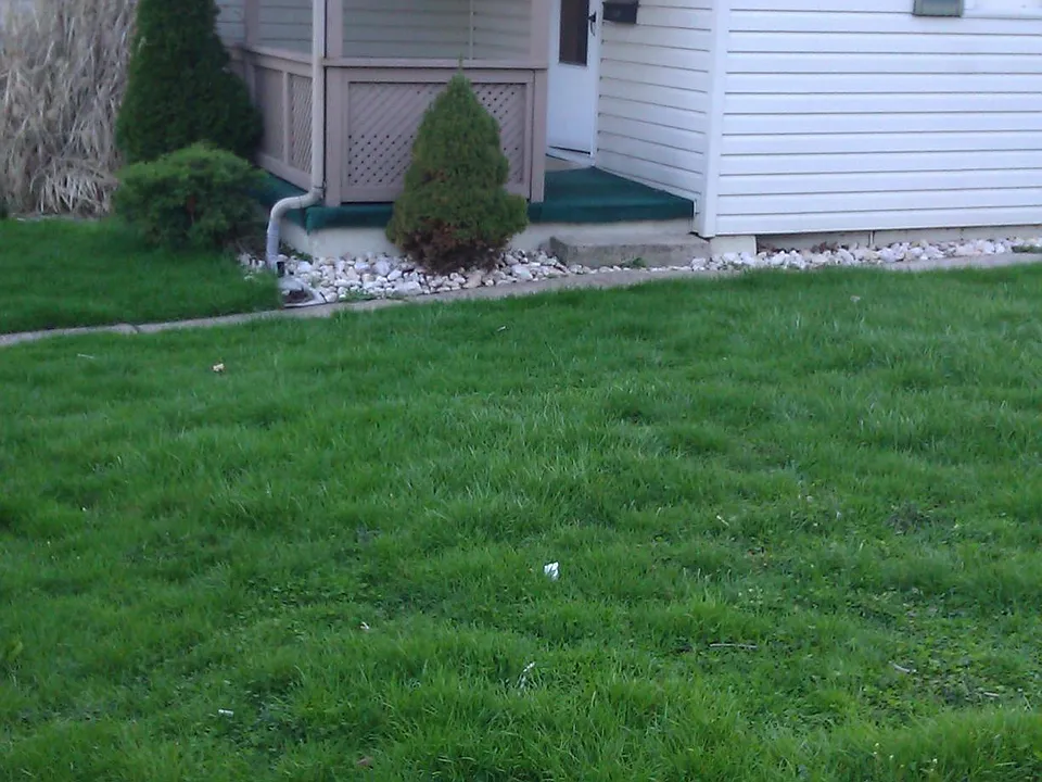 Front entry
