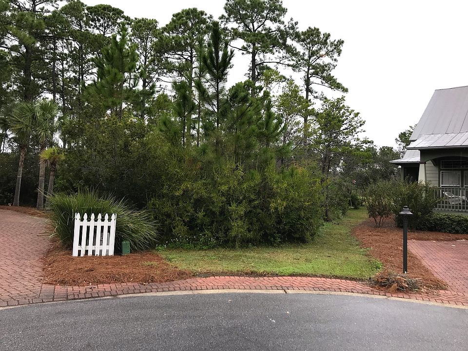1st image of 16 Palmetto Palm Court