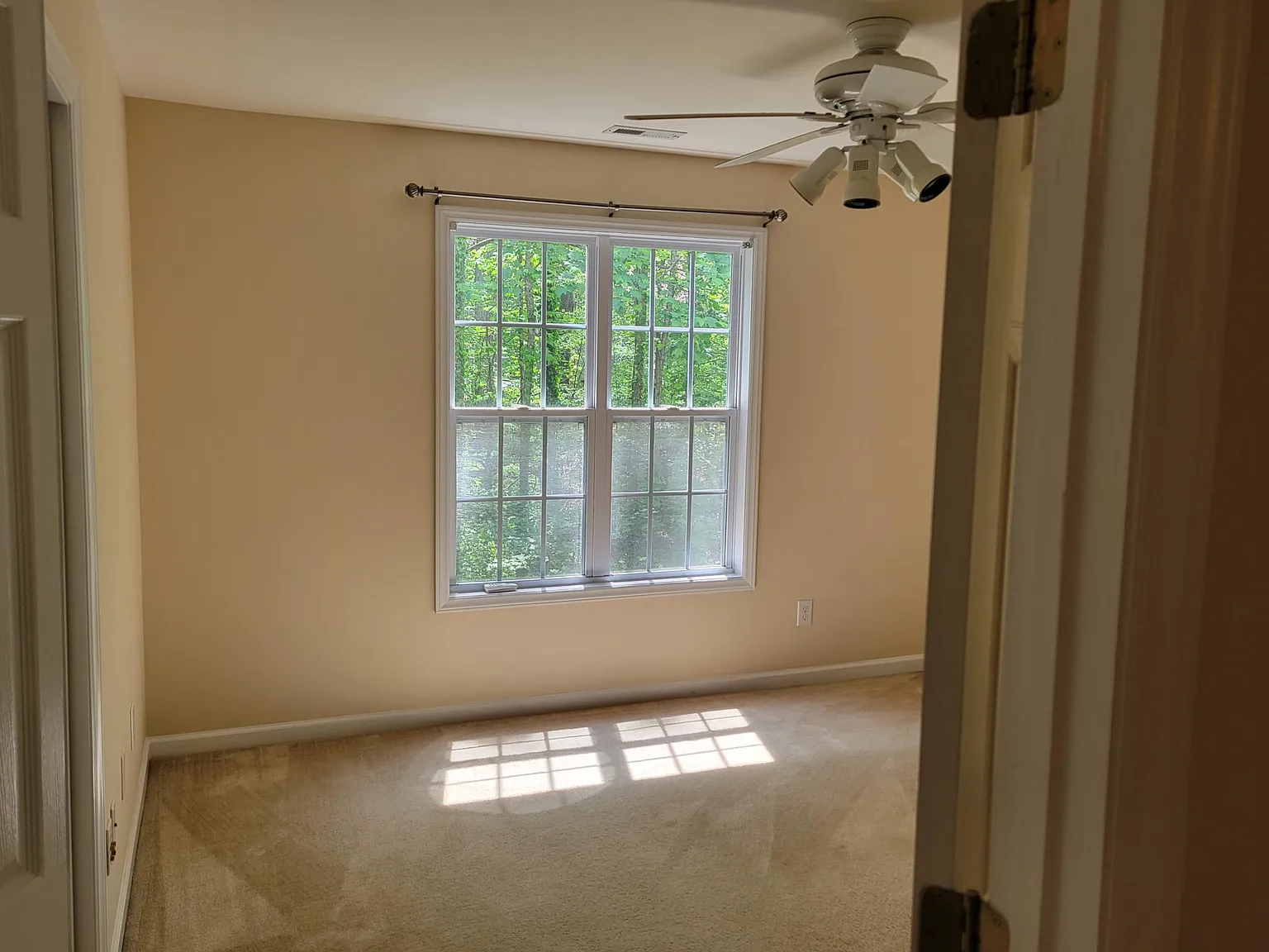 3 bed, 1150 sqft, $1,595 — Photo 3