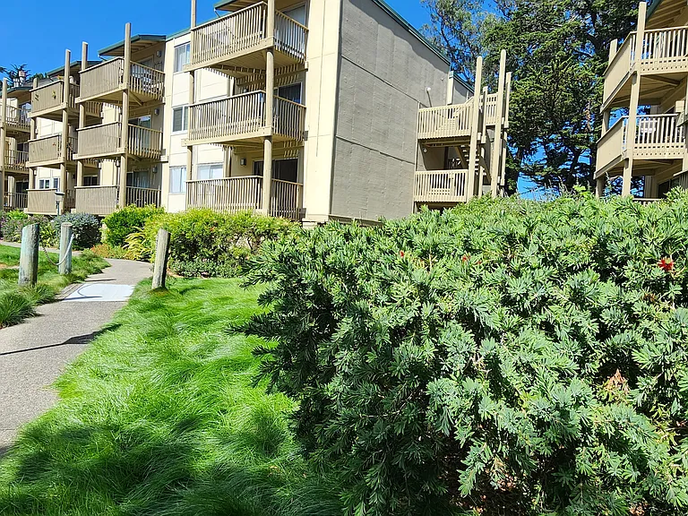 Mandarin Dr — Photo 15