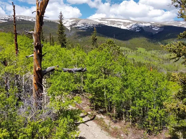 59 Aspen Way LOT 29A, Fairplay, CO 80440