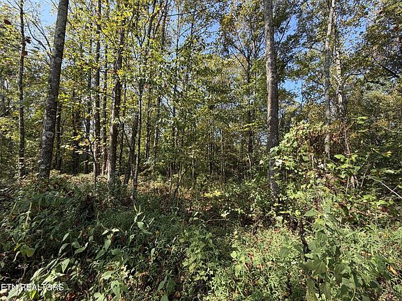 5th image of 2235 Moore Knob Rd