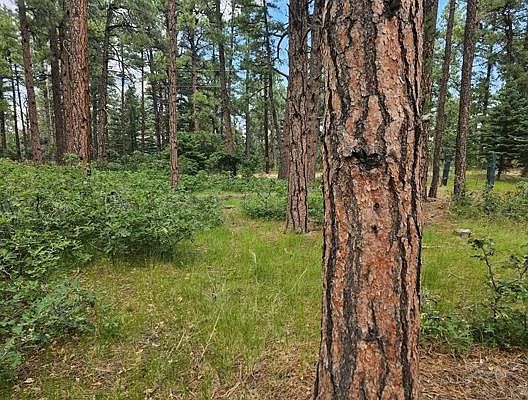 5th image of Tbd Zorn Rd