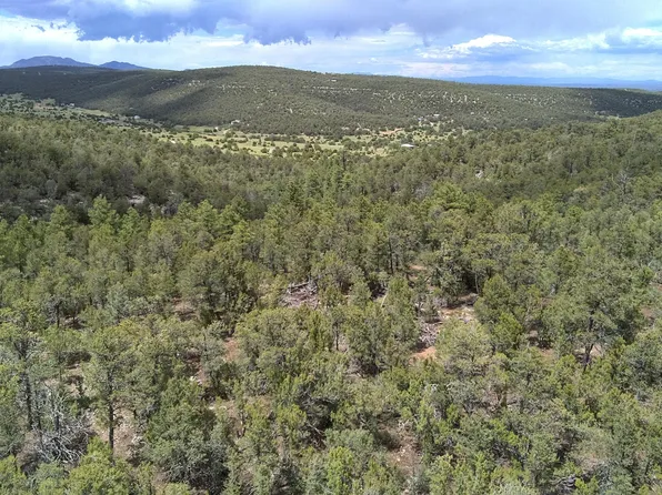 McComb Rd, Edgewood, NM 87015