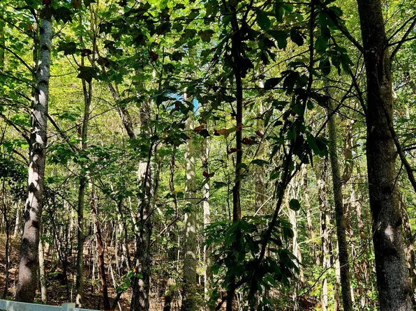 0 Ridge Wood Ln #392, Spencer, TN 38585