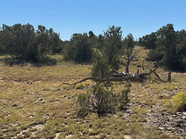 146 N Avondale Rd, Williams, AZ 86046