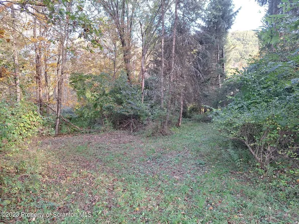 916 S Creek Rd, Nicholson, PA 18446