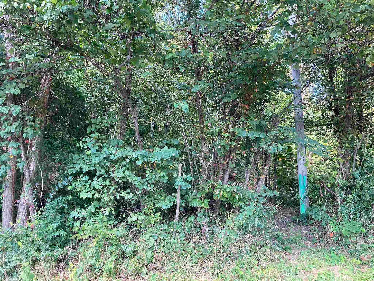 0 W Duvall Rd photo 1