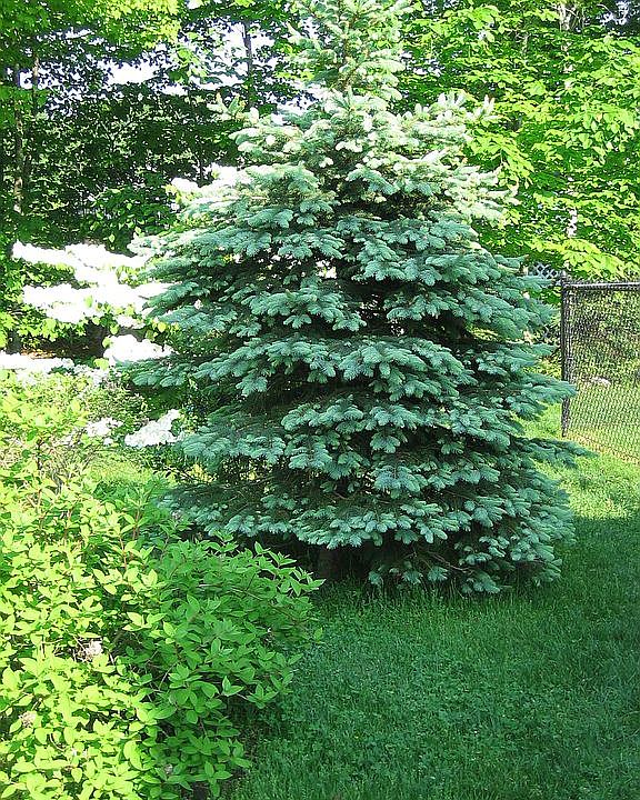 2nd image of 60 Hunting Ridge Dr