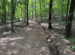 TRACT 1A Downing Rd, Elkins, AR 72727