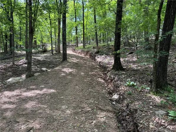 TRACT 1A Downing Rd, Elkins, AR 72727
