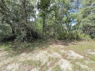 TBD SW 65TH AVENUE ROAD LOT 4, Ocala, FL, 34473