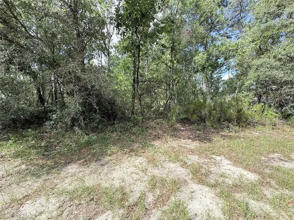 SW 65th Avenue Rd Lot 4, Ocala, FL 34473