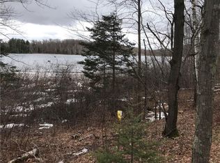 0 Black Dan Road, Winter, WI 54896