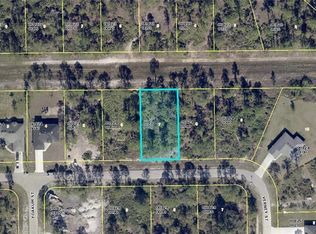 372 Nutmeg St, Lehigh Acres, FL 33972