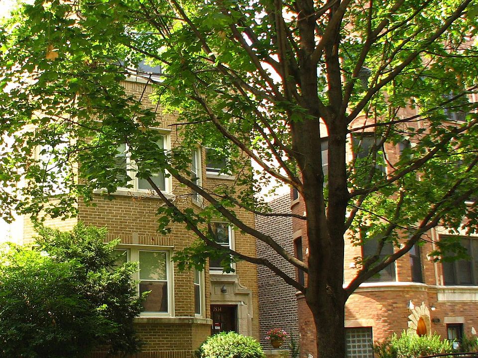1st image of 7534 N Oakley Ave #3