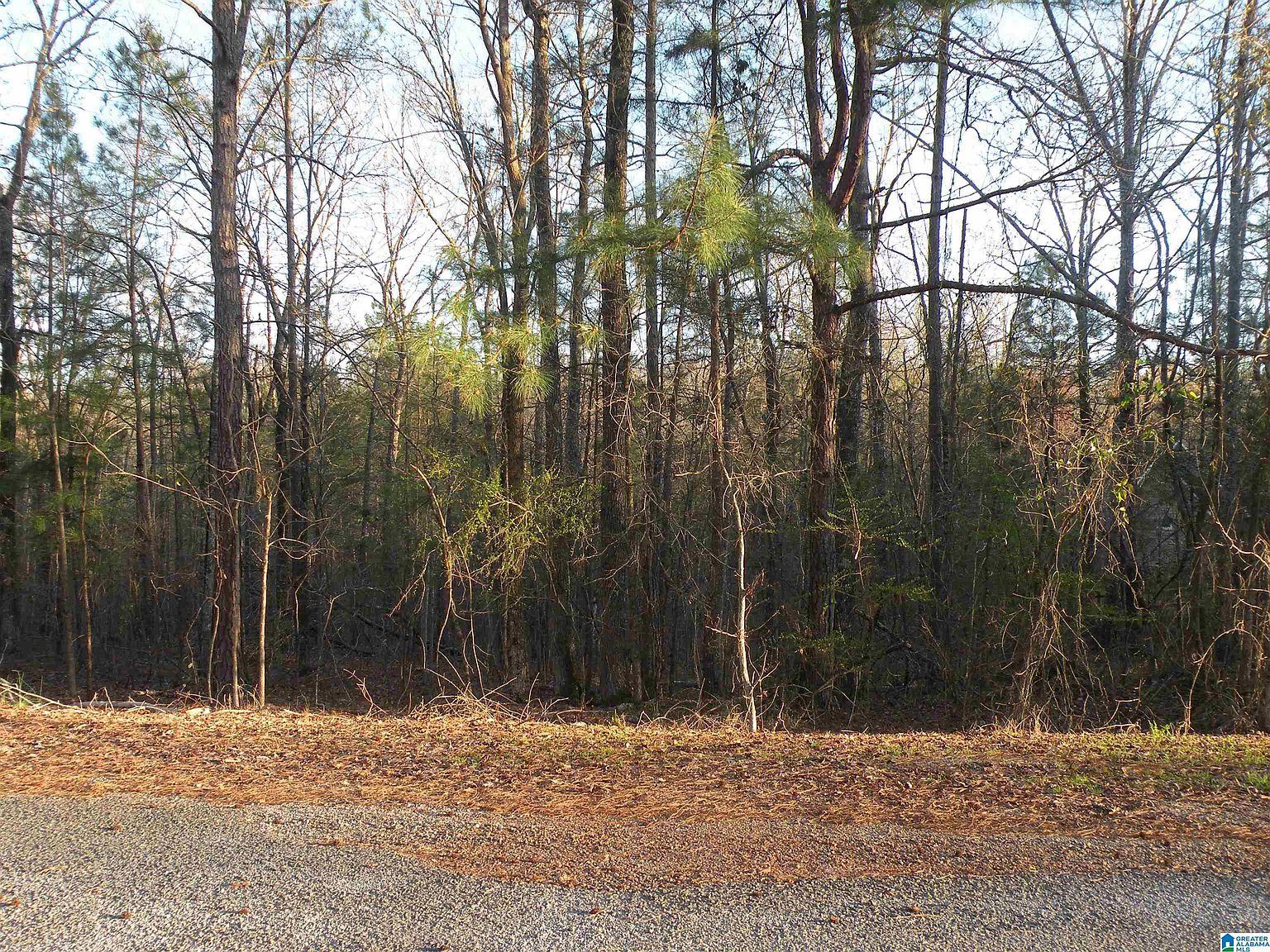 0 Billingsley Dr 0, Childersburg, AL 35044 MLS 1314569 Zillow