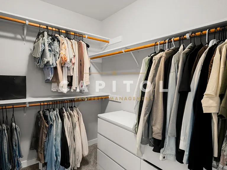 Primary Closet
