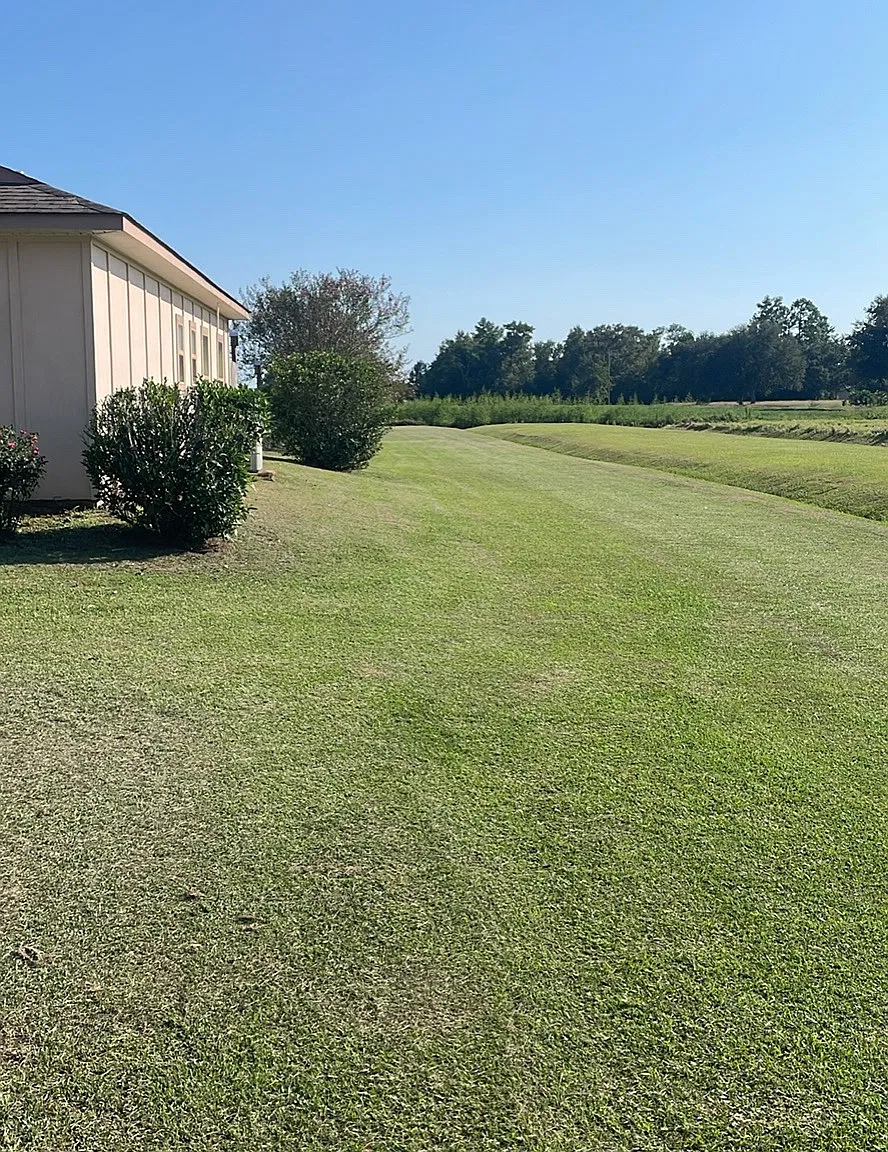 2 bed, 1050 sqft, $1,650 — Photo 2
