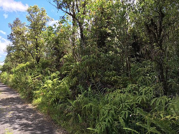 4th image of 16-1573 Road 2 Lot 2895