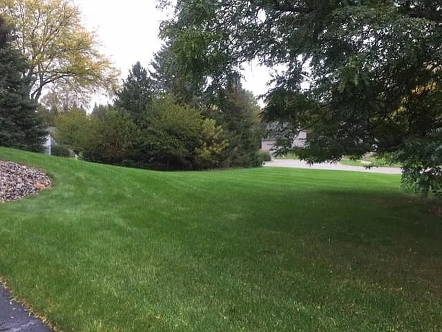 1 bed, 800 sqft, $1,465 — Photo 4
