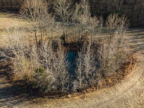 4th image of 366 Parker Rd
