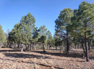 2809 Hidden Creek Cir, Happy Jack, AZ 86024