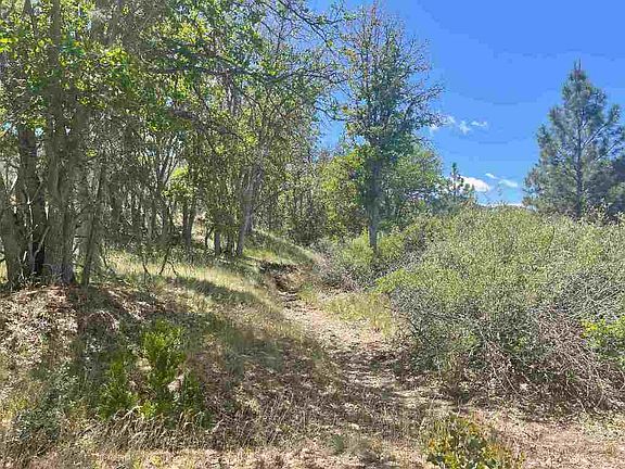 5th image of 4 Acres End Of Sturgis Rd
