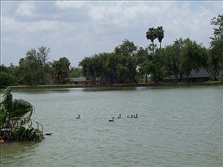 3rd image of 970 Resaca Dr