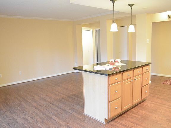 Open kitchen & living area