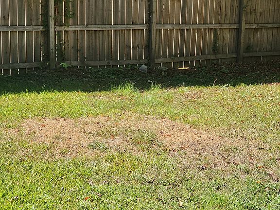 4th image of 1285 Wooddell Dr