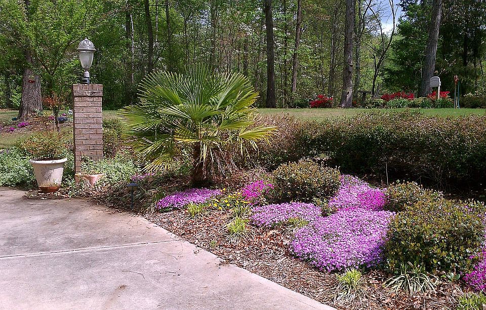 2nd image of 849 Savile Ln
