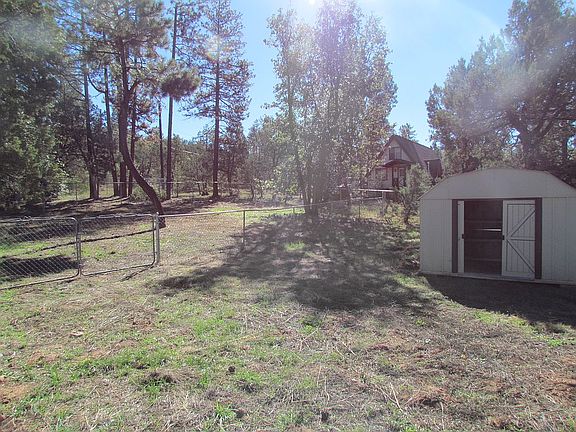Back yard w/ Shed