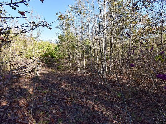 3rd image of S Fm 2869