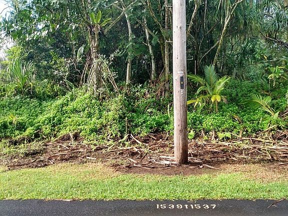 2nd image of Oopu St Lot 1584
