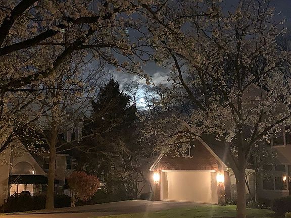 The house at night