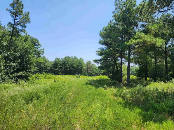 287 Highway, Solgohachia, AR 72156