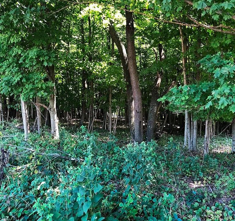1st image of 0 Woodlake Trl
