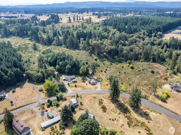 0 Newaukum Valley Road, Chehalis, WA 98532