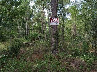 20921 Paddock St, Orlando, FL 32833