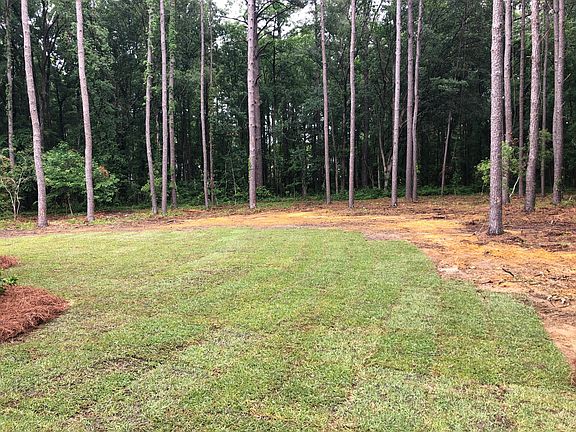 2nd image of 1009 Denali Ct