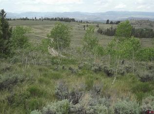201 Mosquito Trl, Powderhorn, CO 81243