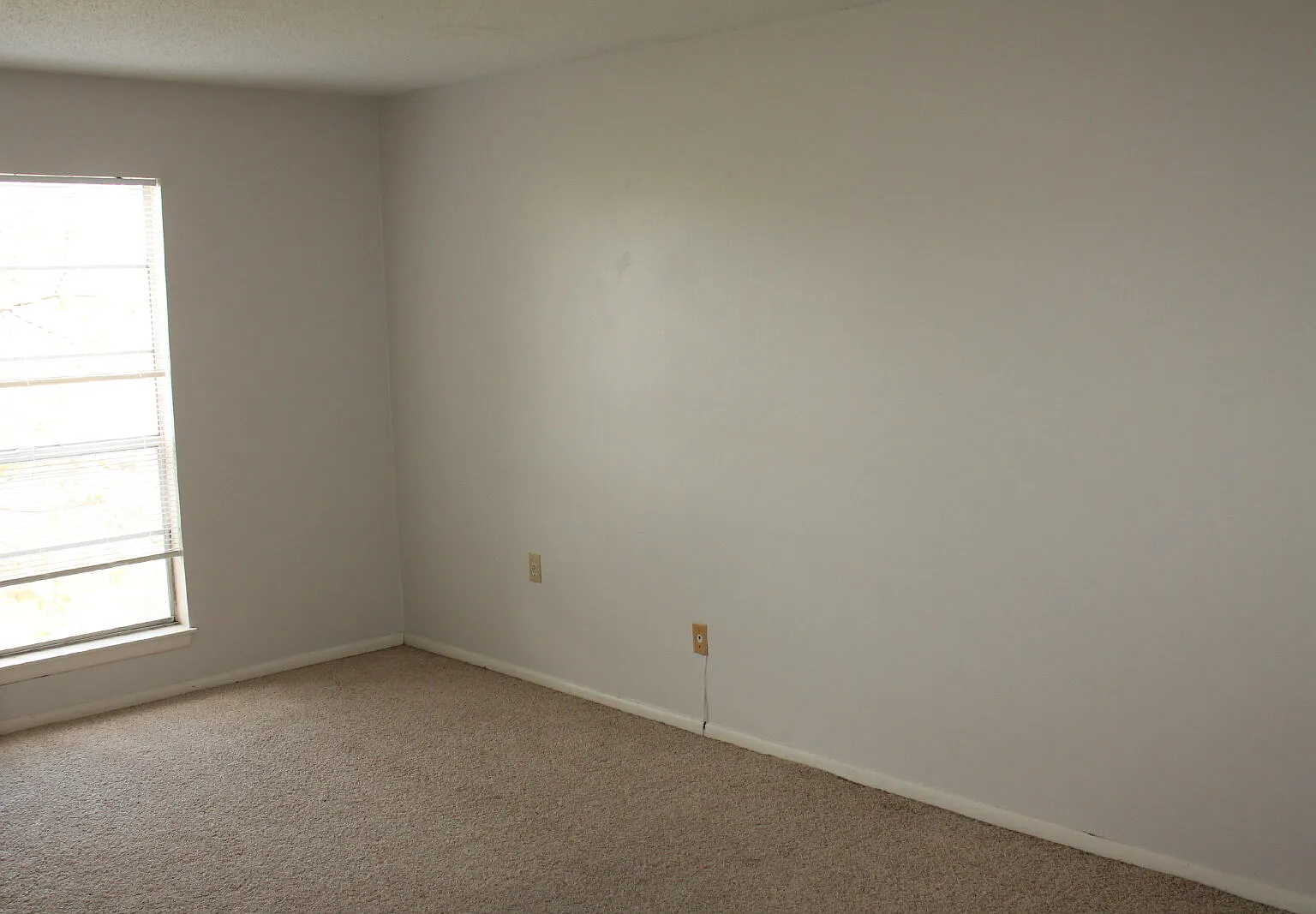 1 bed, 1.0 bath, $775 — Photo 4
