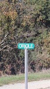 Oriole, Odessa, MO, 64076