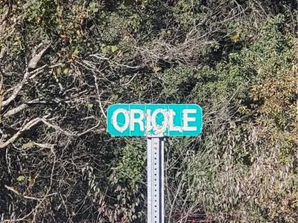 Oriole, Odessa, MO 64076