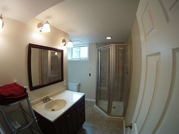 Lower level bathroom