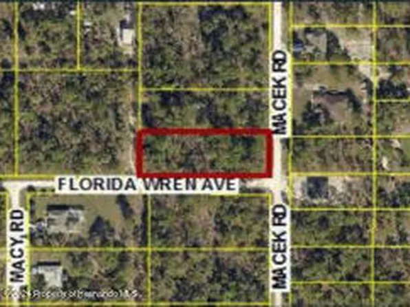 18075 Macek Rd, Weeki Wachee, FL 34614