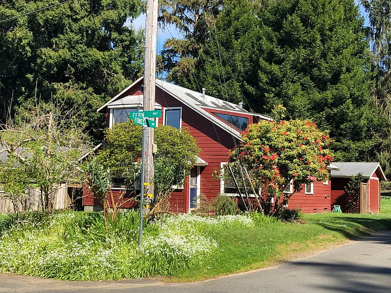 Fern Way — Photo 7