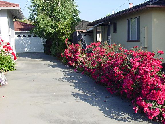 3rd image of 391 Sara Ave